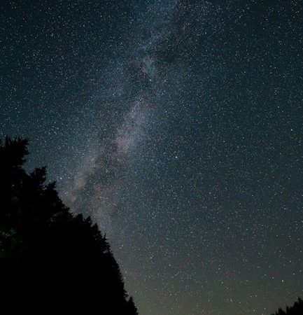 Планетарий SegaToys HomeStar Pro: почему модель популярна