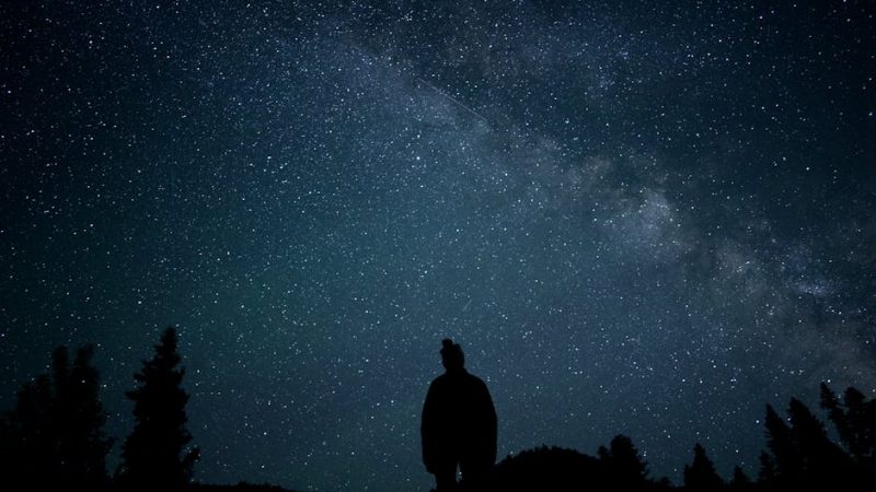 Сравнение цен на проекторы с движением