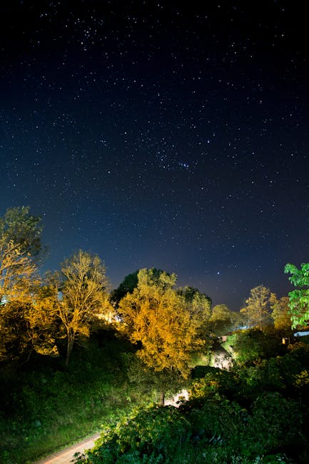 Сравнение Starry Sky с другими звездными проекторами