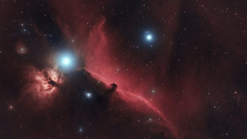 SegaToys HomeStar Flux: сравнение цен в разных магазинах
